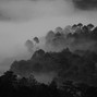 Flight Lounge Beats - {EXCLUSIVE SOLD} MYSTERIOUS LOFI type beat - a walk through the half moon forest 