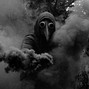 Flight Lounge Beats - {5EXCLUSIVES/$150} rolling plague {twentythree a change of weather type beat}