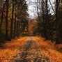 Flight Lounge Beats - SOULFUL COUNTRY POP - BACKROADS