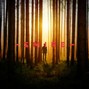 SMIRE - Contact