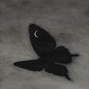 grayskies - nocturne