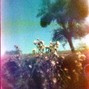 grayskies - glimpse
