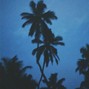 grayskies - forget it