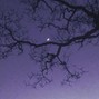 grayskies - lost my mind