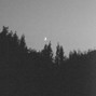 grayskies - shadows