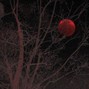 grayskies - red moon