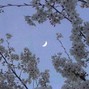 grayskies - yesterday