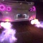 twentyfo - purplebee