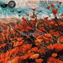 OHEI8HT - butterflies x Ryder Johnson - 152BPM