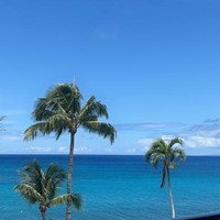 melodic/chill/vibe/plugg