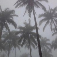 alternative ambient