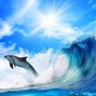 UBER BEATS - SURF 2020