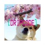DRIPCODE - DRIP