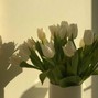 guda - us
