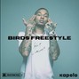 Kapelo - Birds Freestyle