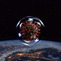 Finch Beats - Bubble