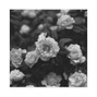 Untitld - suh 01