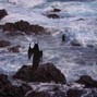 shamas - down by the sea
