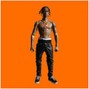 Vaccid - Travis Scott Type - Rodeo