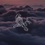 kingnxco - clouds