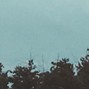 The Not Known - found freedom
