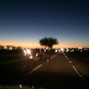 VEGGIE TRON - TRAFFIC