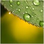 NOFREEBEATZ - ItIsMyGreenBreakfast
