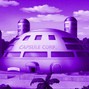 SAINtGOKU - 캡슐코퍼레이션(CAPSULECORPORATION)