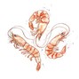 gyoz - "shrimp" (prod. gyoz) 2021