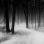 beatsbyVICE - evils of the forest