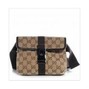 beatsbyVICE - gucci fannypack
