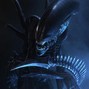 Jay Tamber - XENO