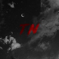 TeeNN