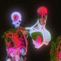 SXTH - SAFE ZONE 
