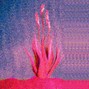 aloe - Oasis