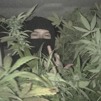 Prod. Milli 814