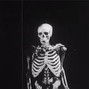 GOPNIKBOI - skeleton