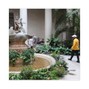 wali_cincoses - light out