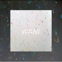 WANI  - DUMBO 
