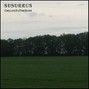 ChilledToTheBone - DSSSP