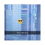 Wes King - New Year 2017