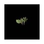 WETBACKCRI$TO - [Prod. WETBACKCRI$TO]