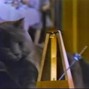 BiggY BozZzY - AmnezZzian Metronome