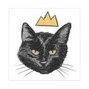 WhiskerPrince - Cloud
