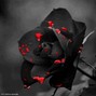 order33  - I Can't Do This Anymore (prod. @executeorder33 x @dead.at.18