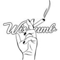 wisdumb