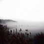 Wolphe - BROKEN - DAVID SHAWTY