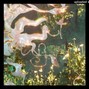 prodnovachance - Bright Side