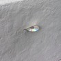 cjwitdagang - HUH?
