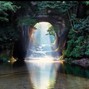 cjwitdagang - Rainforest